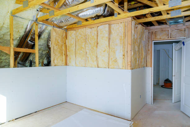 Best Insulation Installation Services in Independence, MN